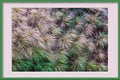 A Wall Of Textured Abstract Foliage In a Photo Frame Royalty Free Stock Photo