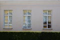 Wall with three windows on the background of green bushes