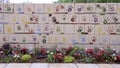 Wall of tiles made by children, Front of the Oklahoma City National Memorial & Museum, with flowers in foreground