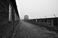 The wall and vigilance towers in Mauthausen concentration camp