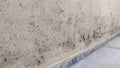 moisture damaged wall with blistering and efflorescence Royalty Free Stock Photo