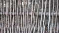 Wall of willow twigs as background. Rural old fence, made from willow tree twigs and branches Royalty Free Stock Photo