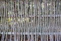 Wall of willow twigs as background. Rural old fence, made from willow tree twigs and branches Royalty Free Stock Photo