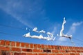 Wall, wind, wire and trash