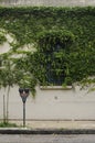 Wall with window covered with vines