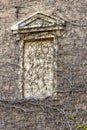 Wall and window frame covered with green and Brown vines