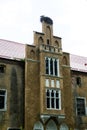 A wall with windows of an old castle with a stork`s nest on the roof. The old abandoned Prussian Waldau Castle in Kaliningrad