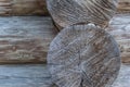 Wall of a wooden house gray logs closeup background rustic Royalty Free Stock Photo