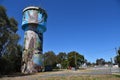 The Walla Walla Water Tank Art was painted by Damien Mitchell over three weeks in April and May 2022.