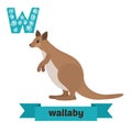 Wallaby. W letter. Cute children animal alphabet in vector. Funny cartoon animals. Vector illustration