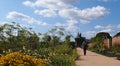 Summer flowers at the RHS Bridgewater Gardens in Salford, Northern England Royalty Free Stock Photo