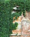 A walled-up window in a red-brick wall covered by a lush growth of dark green ivy