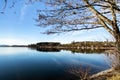Wallersee lake blue sky tree Royalty Free Stock Photo