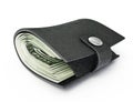 Wallet Royalty Free Stock Photo