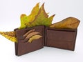 Wallet in the Autumn Royalty Free Stock Photo