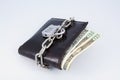 Wallet Royalty Free Stock Photo