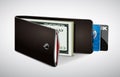 Wallet with cash and credit cards Royalty Free Stock Photo