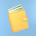 Wallet with cash. Yellow purse.