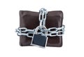 Wallet in chains closed padlock. Royalty Free Stock Photo