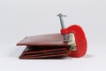 Wallet in clamp Royalty Free Stock Photo