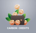 wallet with CO2 coins responsibility of co2 emission free trading carbon tax credit sustainable ESG development Royalty Free Stock Photo