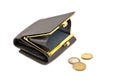 Wallet with coins
