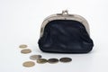 Wallet with Coins2 Royalty Free Stock Photo