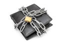 Wallet crossed by metal chain with padlock on white background. Protection money concept