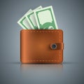 Wallet, dollar, money - realistic icon.