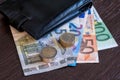 Wallet with euro banknotes and coins Royalty Free Stock Photo