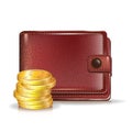 Wallet with golden coins