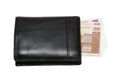 Wallet with lats