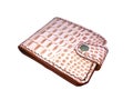 Wallet of leather crocodile skin Royalty Free Stock Photo