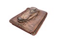 Wallet of leather crocodile skin Royalty Free Stock Photo