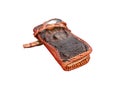 Wallet of leather crocodile skin Royalty Free Stock Photo