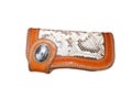Wallet of leather snake skin Royalty Free Stock Photo