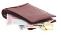 Wallet with money Royalty Free Stock Photo