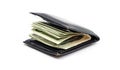 Wallet with money Royalty Free Stock Photo