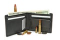 Wallet, money and cartridges isolated Royalty Free Stock Photo