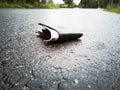 Lost Wallet on road Royalty Free Stock Photo