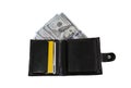 Wallet purse with US dollars