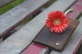 wallet with single gerbera on bench Royalty Free Stock Photo