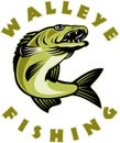 Walleye fish fishing