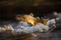 Walleye fish jumping out of river water. Generative AI Royalty Free Stock Photo