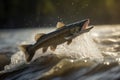 Walleye fish jumping out of river water. Generative AI Royalty Free Stock Photo