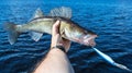 Walleye fishing scenery Royalty Free Stock Photo