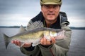 Walleye fishing season Royalty Free Stock Photo