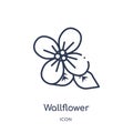 Wallflower icon from nature outline collection. Thin line wallflower icon isolated on white background