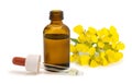 wallflowers with Bottle of essential oil Royalty Free Stock Photo