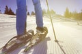 wallking in snow with snowshoe